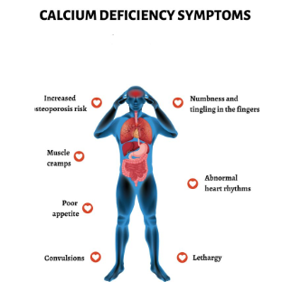 Calcium & Vitamins
